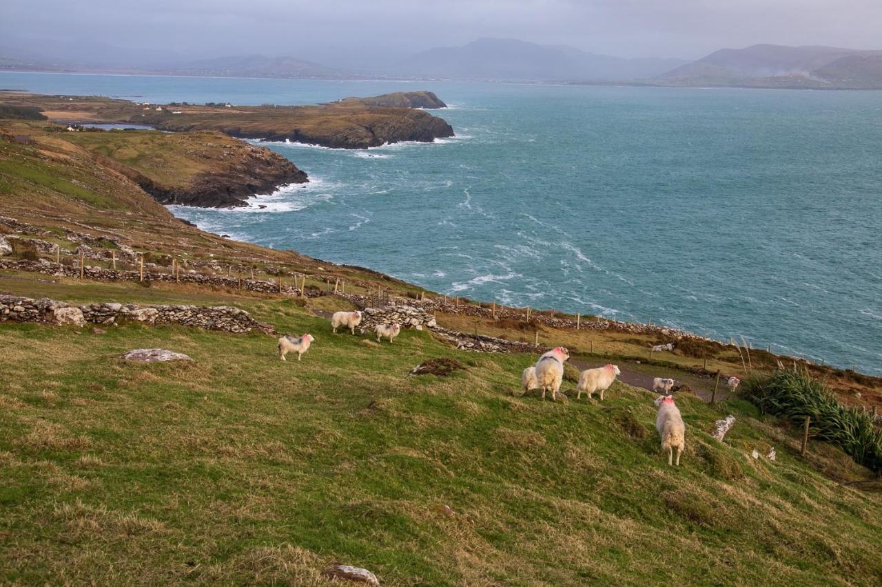 Skellig Port Accommodation - 1 Studio Bed Apartment Portmagee Buitenkant foto